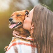 o que é adestrar cachorro