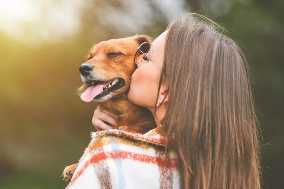 Resolvendo Problemas Comuns Durante o Adestramento Canino