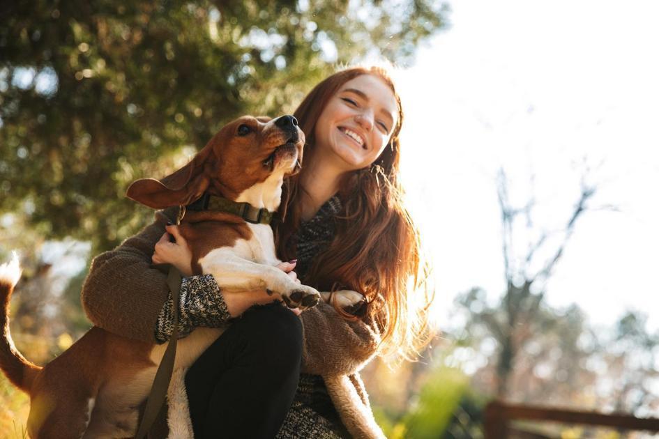 Superando Desafios Comuns no Adestramento Canino Superando Desafios Comuns no Adestramento Canino