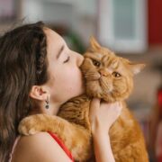 5 Fatos Surpreendentes: Qual o papel dos gatos na nossa vida?