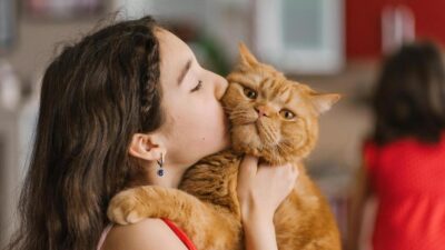5 Fatos Surpreendentes: Qual o papel dos gatos na nossa vida?