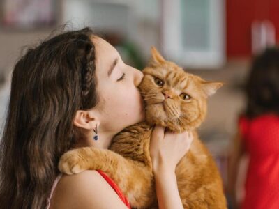 5 Fatos Surpreendentes: Qual o papel dos gatos na nossa vida?