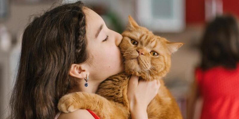 5 Fatos Surpreendentes: Qual o papel dos gatos na nossa vida?