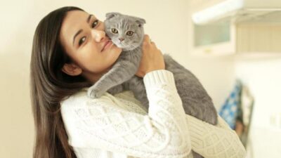 5 Habilidades Impressionantes dos Gatos que Você Precisa Conhecer
