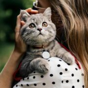 5 Habilidades Surpreendentes que os Gatos Têm