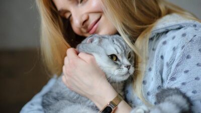 5 Razões Para Ter um Gato e Transformar Sua Vida