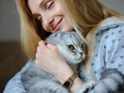 5 Razões Para Ter um Gato e Transformar Sua Vida