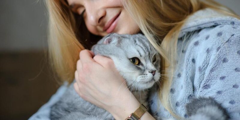 5 Razões Para Ter um Gato e Transformar Sua Vida