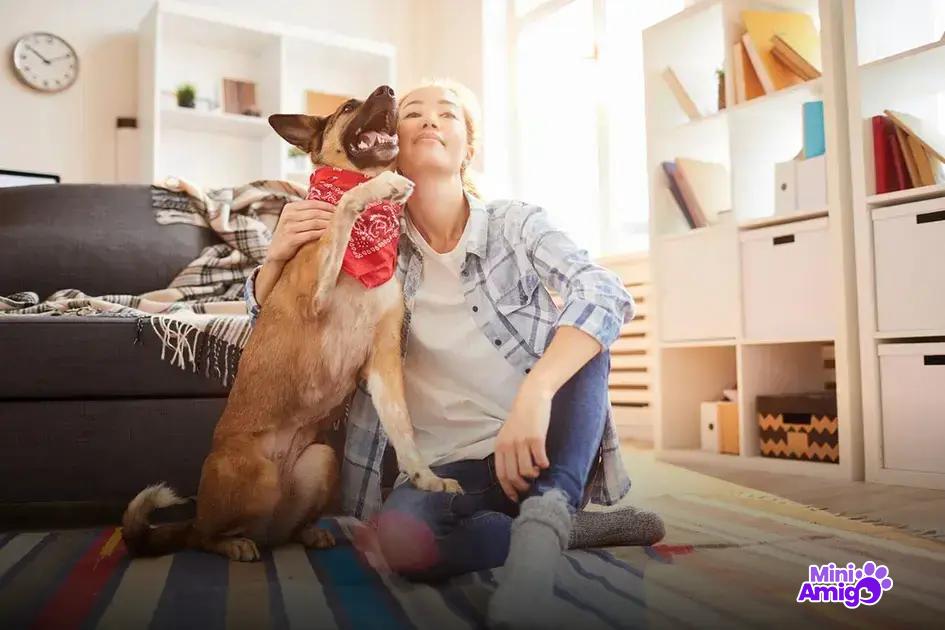 Alternativas seguras a uvas para cães Alternativas seguras a uvas para cães