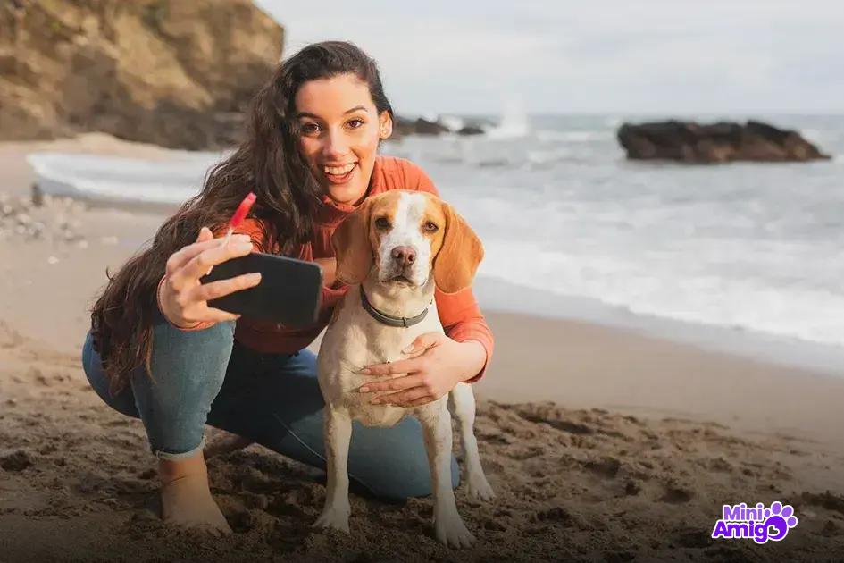 Benefícios da manga para a saúde canina