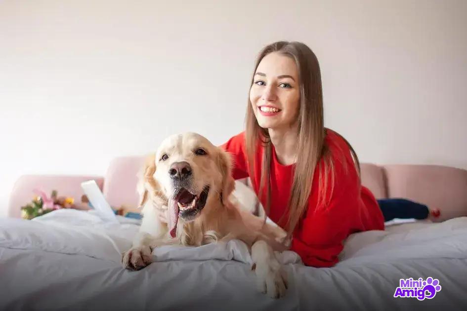 Benefícios do chuchu para cães