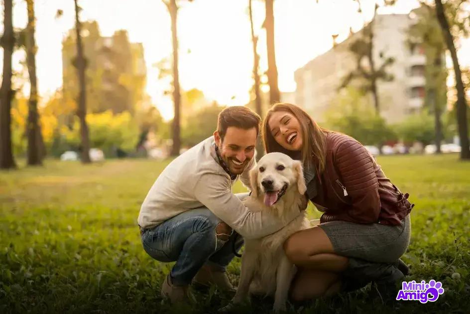Dicas para consultar o veterinário sobre alimentos