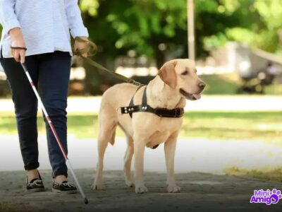 Mordedor para cachorro: Como escolher o melhor para seu pet