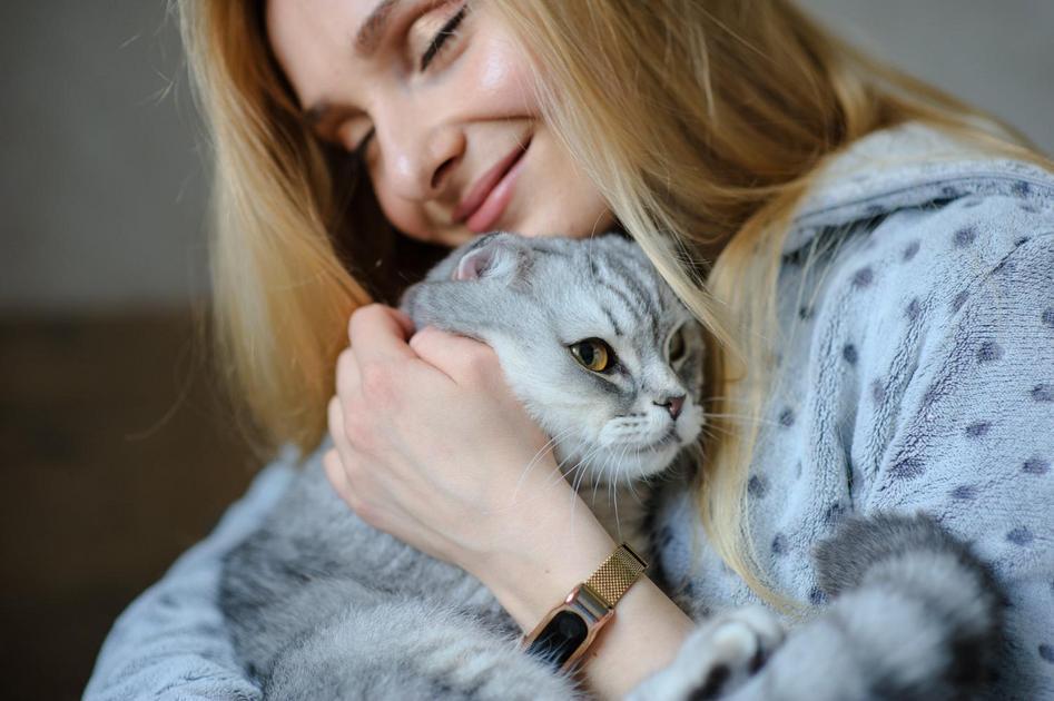 O Que os Gatos Sentem em Relação aos Humanos O Que os Gatos Sentem em Relação aos Humanos
