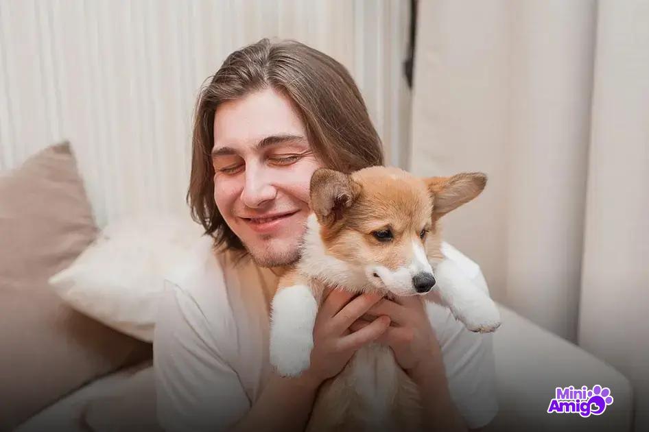 Outros Alimentos Seguros para Cachorros Outros Alimentos Seguros para Cachorros