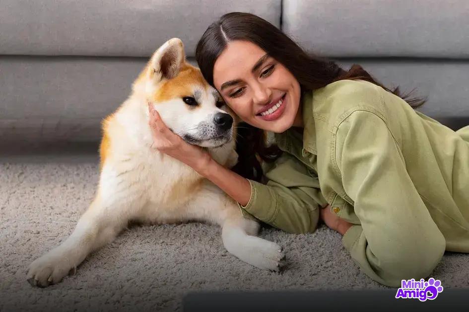 Riscos de alimentar cães com jabuticaba Riscos de alimentar cães com jabuticaba