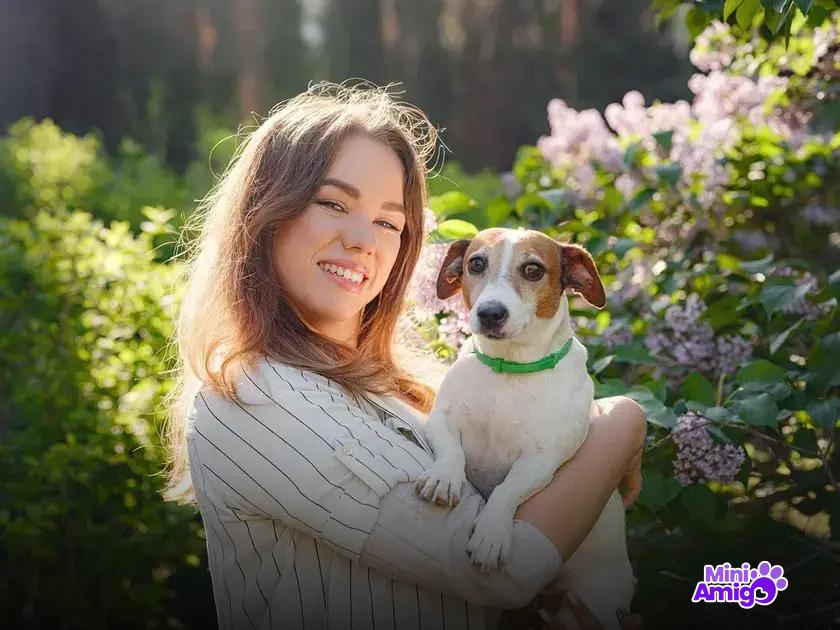 Riscos de dar manga para os cães