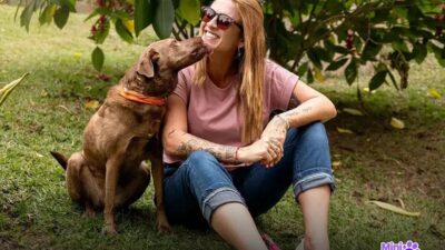 Você Pode Dar Manga para Cachorro? Descubra Agora Mesmo!