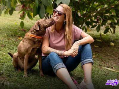 Você Pode Dar Manga para Cachorro? Descubra Agora Mesmo!