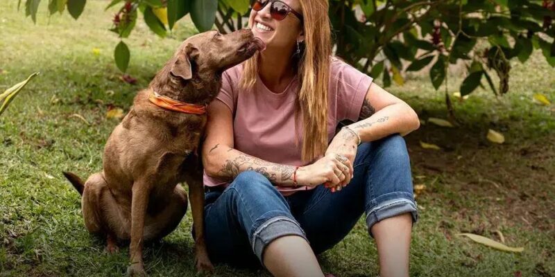 Você Pode Dar Manga para Cachorro? Descubra Agora Mesmo!