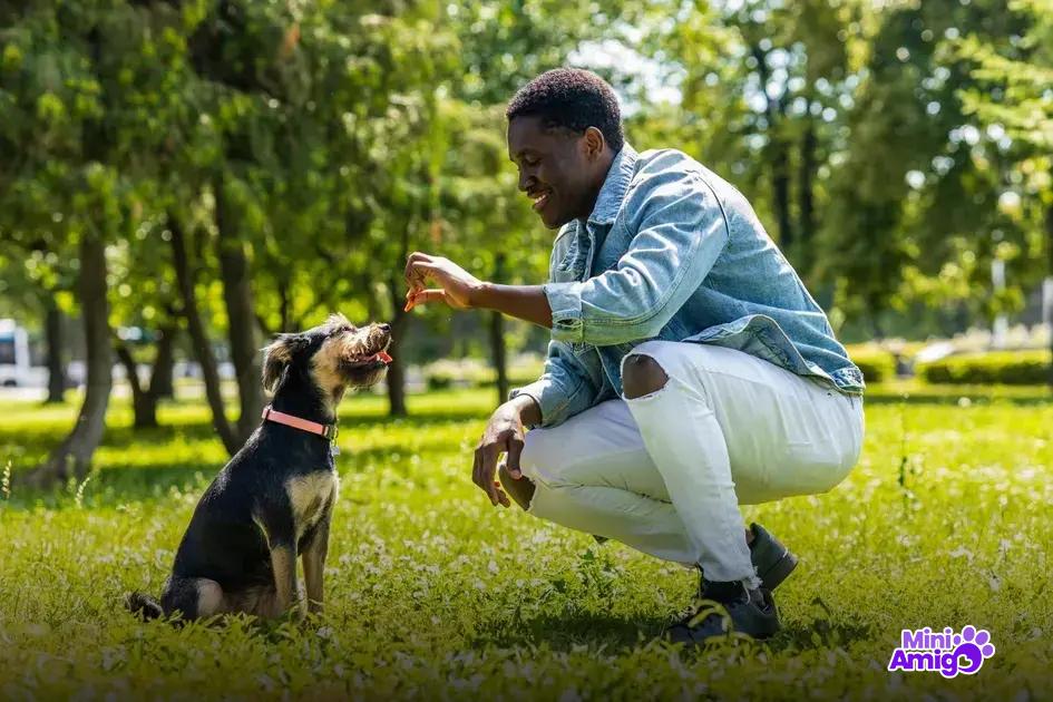 2. Top 6 raças de cachorros mais fortes 2. Top 6 raças de cachorros mais fortes
