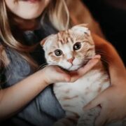 20 Nomes Criativos para Gatos Machos que Você Vai Amar