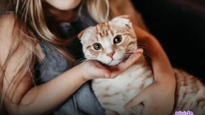 20 Nomes Criativos para Gatos Machos que Você Vai Amar