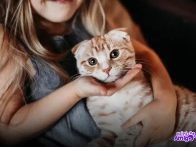 20 Nomes Criativos para Gatos Machos que Você Vai Amar