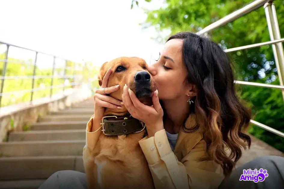 4. Cuidados com cães fortes: o que você precisa saber 4. Cuidados com cães fortes: o que você precisa saber