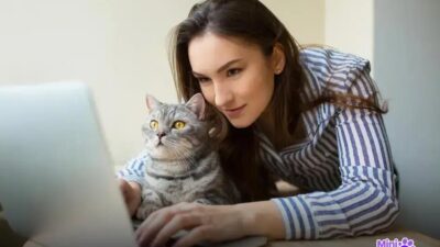 6 Fatos Importantes sobre a Vacina Antirrábica em Gatos