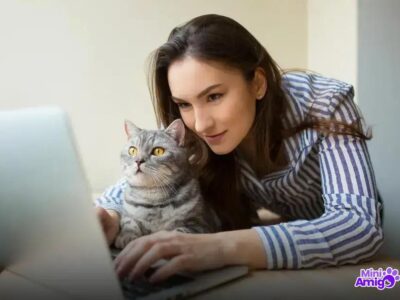 6 Fatos Importantes sobre a Vacina Antirrábica em Gatos