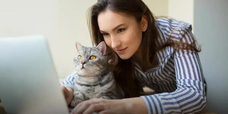 6 Fatos Importantes sobre a Vacina Antirrábica em Gatos