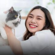 7 Tipos de Caminha para Gato que Seu Felino Vai Amar