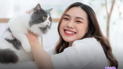7 Tipos de Caminha para Gato que Seu Felino Vai Amar
