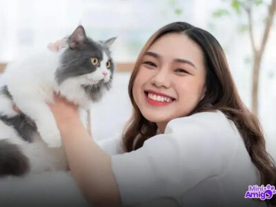 7 Tipos de Caminha para Gato que Seu Felino Vai Amar