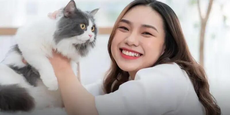 7 Tipos de Caminha para Gato que Seu Felino Vai Amar