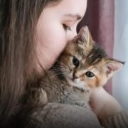 8 Sintomas Cruciais da Doença do Gato que Você Precisa Conhecer