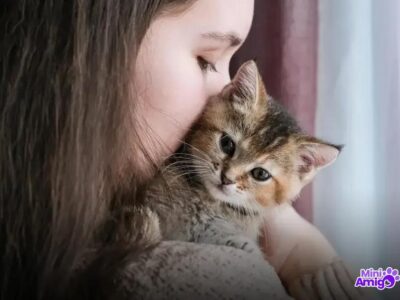 8 Sintomas Cruciais da Doença do Gato que Você Precisa Conhecer