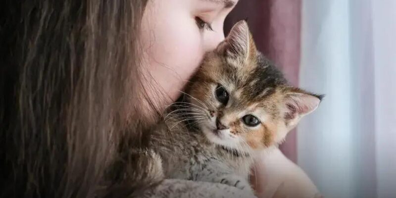 8 Sintomas Cruciais da Doença do Gato que Você Precisa Conhecer