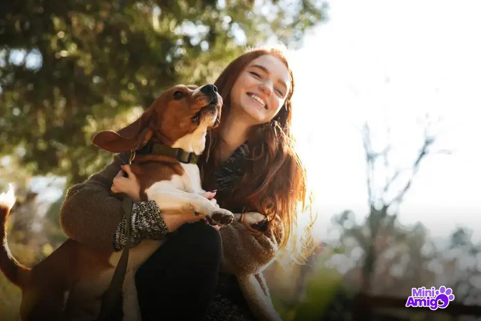 Adestramento de cachorros pequenos: dicas úteis Adestramento de cachorros pequenos: dicas úteis