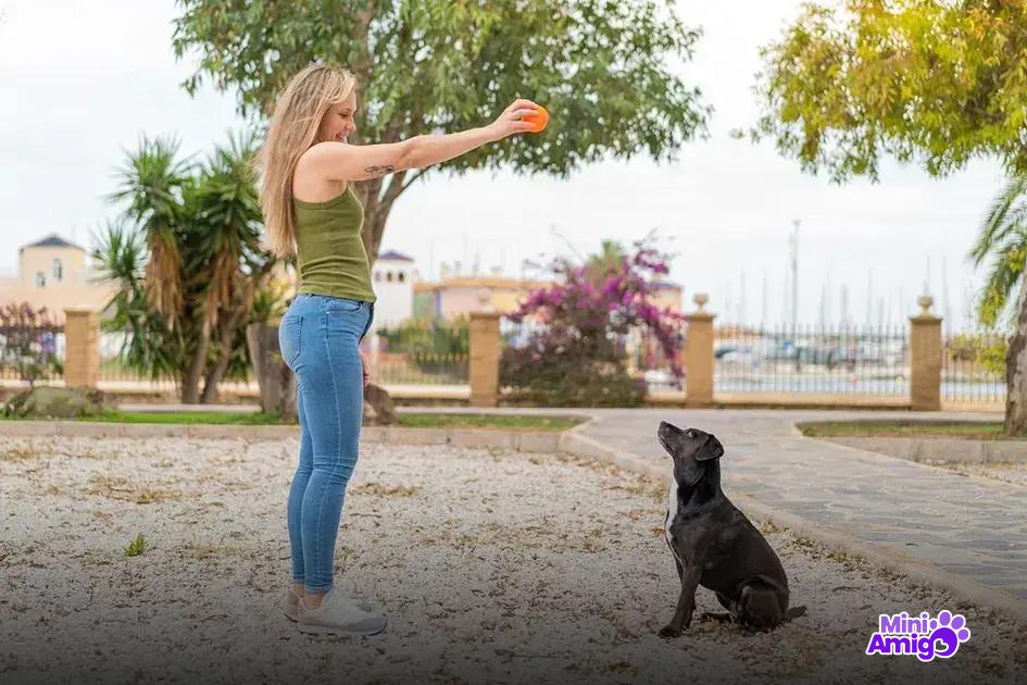 As melhores raças de cães protetores As melhores raças de cães protetores