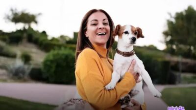 Cachorro pode comer batata? 8 Fatos para Saber