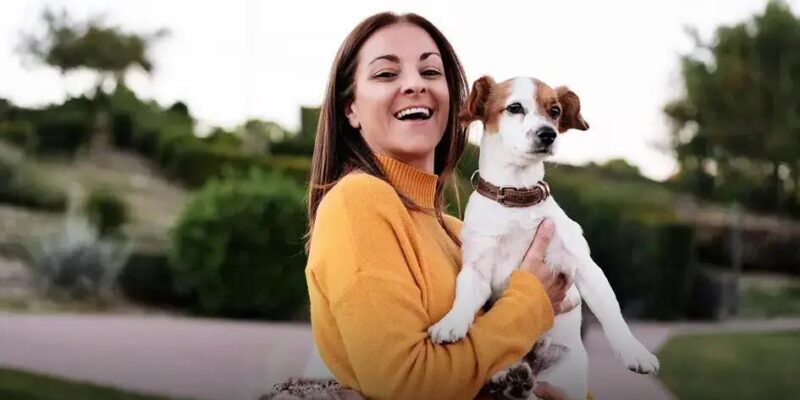 Cachorro pode comer batata? 8 Fatos para Saber