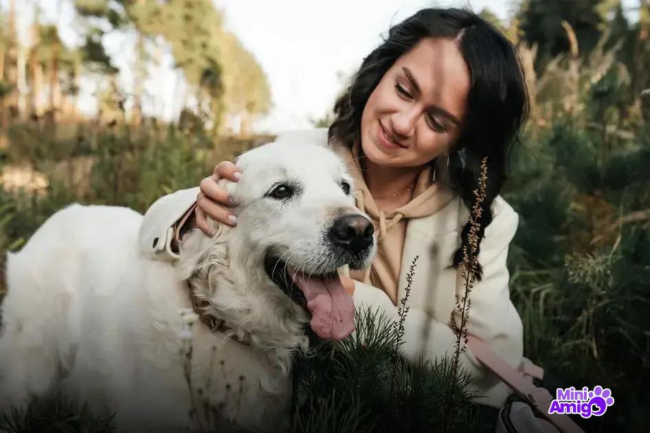 Cachorros queridos nas redes sociais Cachorros queridos nas redes sociais