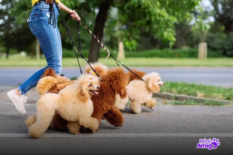 Cães famosos na história