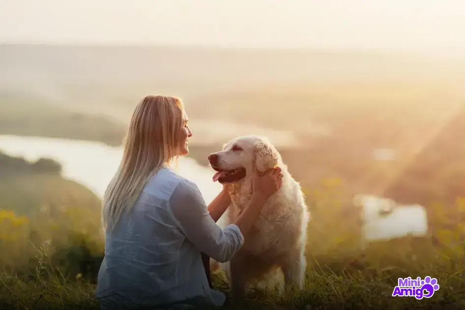 Como a domesticação transformou os cães