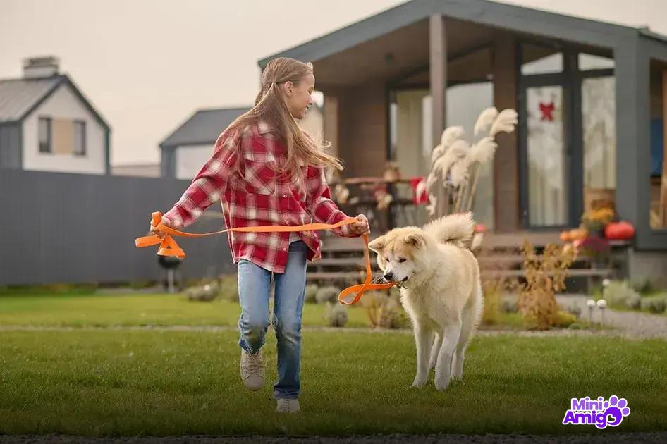 Como escolher o melhor cachorro para sua família Como escolher o melhor cachorro para sua família