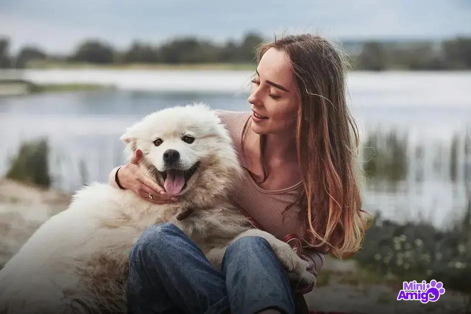 Como os cães são percebidos em diferentes culturas Como os cães são percebidos em diferentes culturas