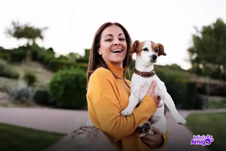 Como treinar seu cachorro para proteger Como treinar seu cachorro para proteger