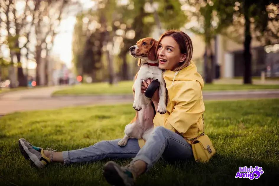 Como treinar um cachorro inteligente